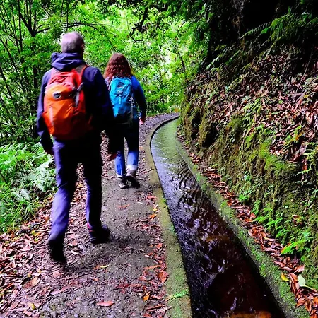 Alegria فونشال