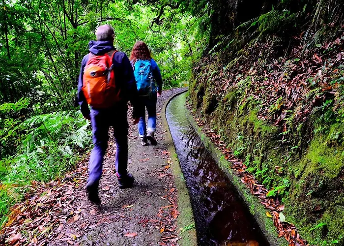 Alegria Funchal (Madeira)